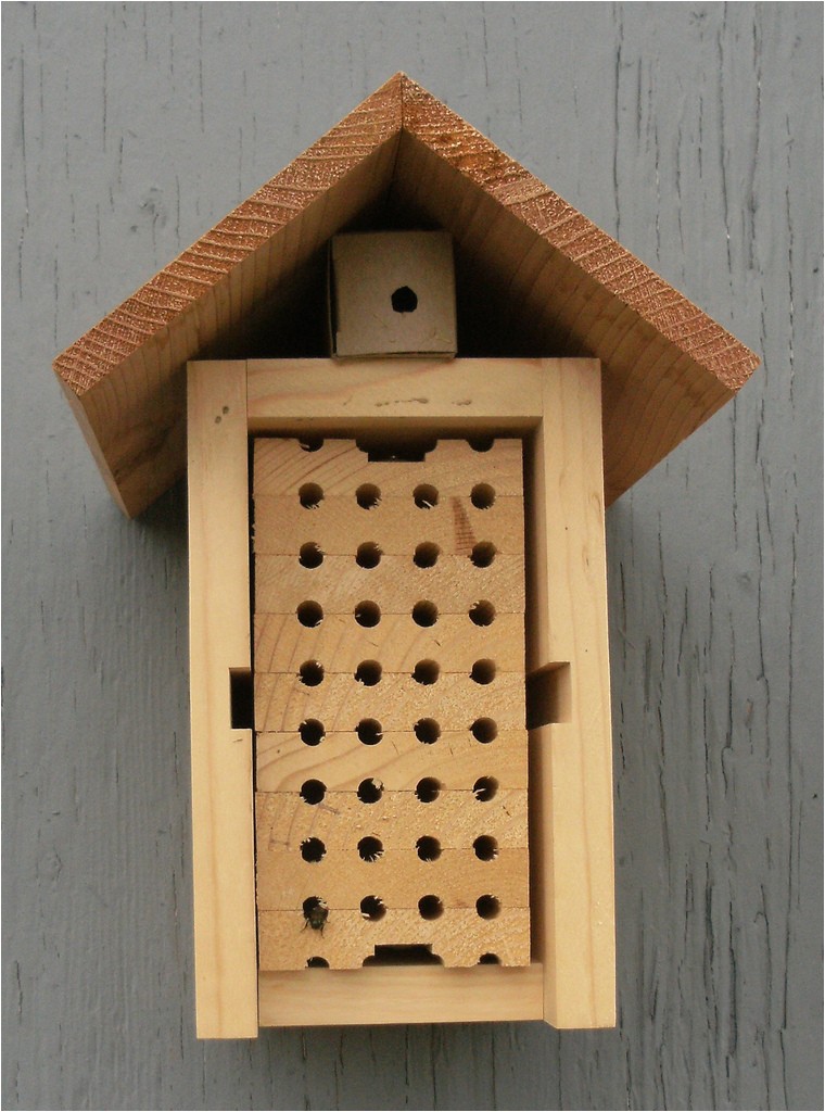 orchard mason bee house plans