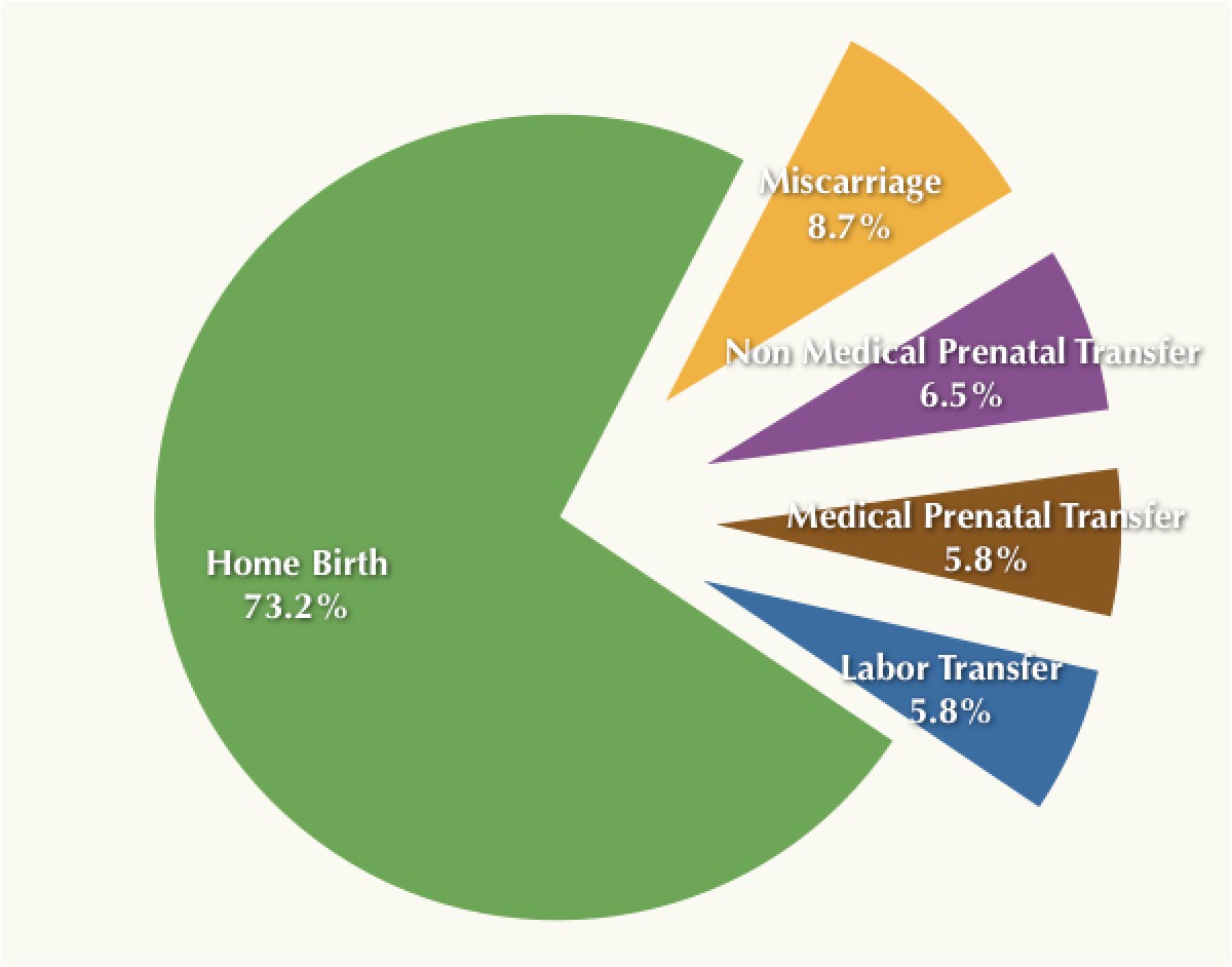 home birth vs hospital birth statistics
