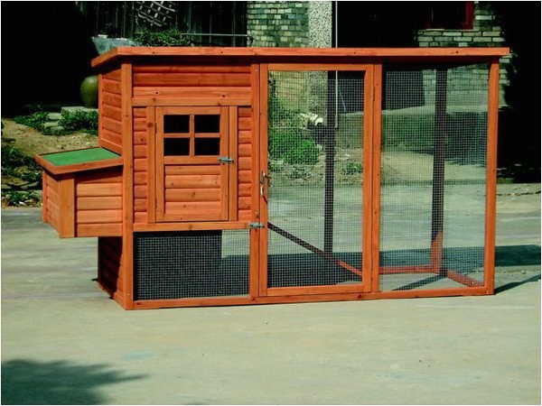 chicken coop ideas designs and layouts for your backyard chickens