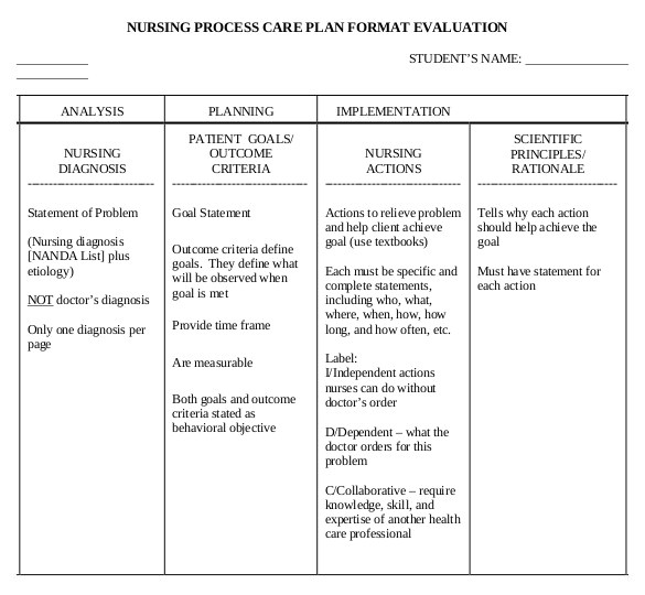 Veterinary Nursing Care Plan Template Pdf