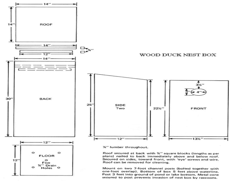 e7718cd3cf88d55a box wood duck house plans wood duck box building plans
