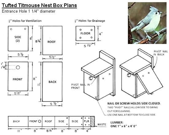 bird-house-plans-for-robins-plougonver