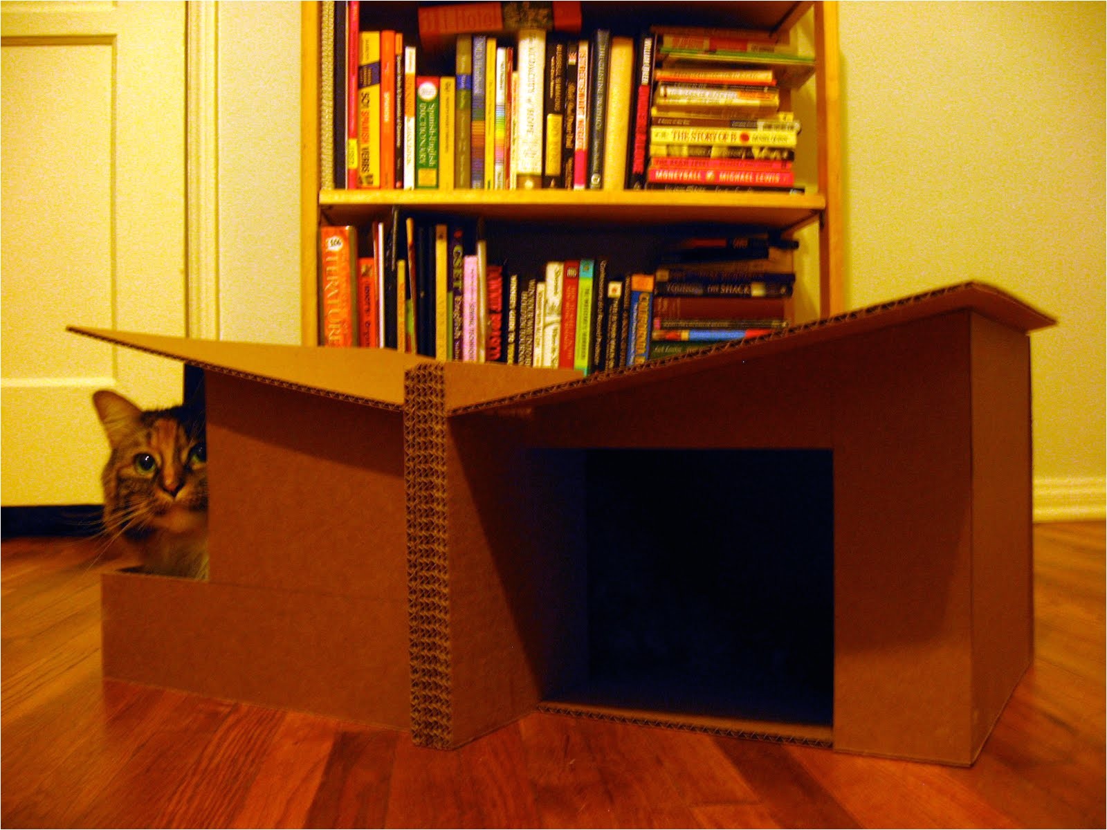 pdf diy cardboard cat house plans download canoe bookcase plans