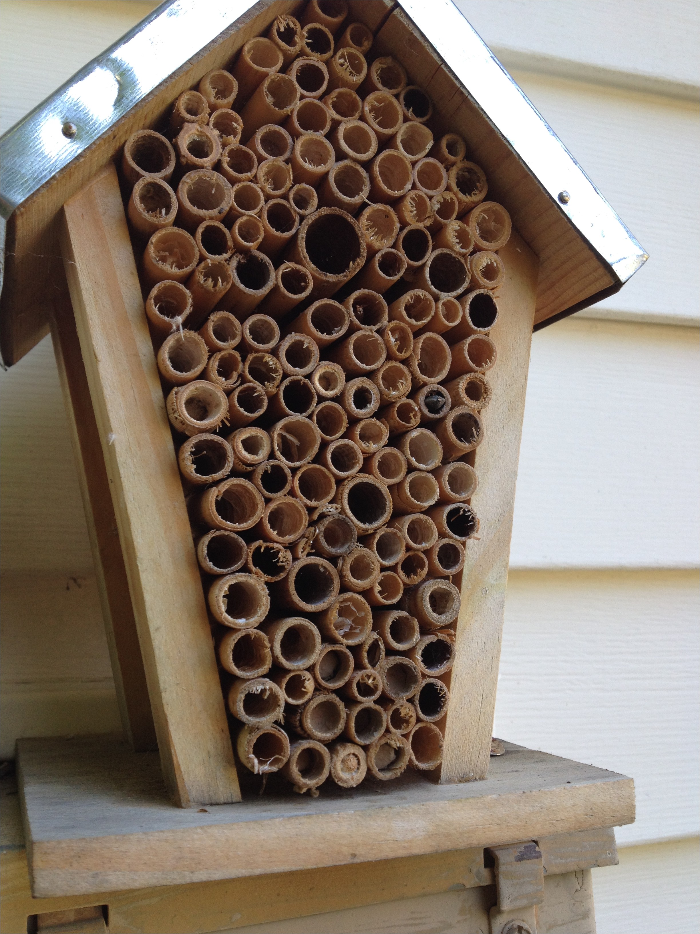 Bee house plans free