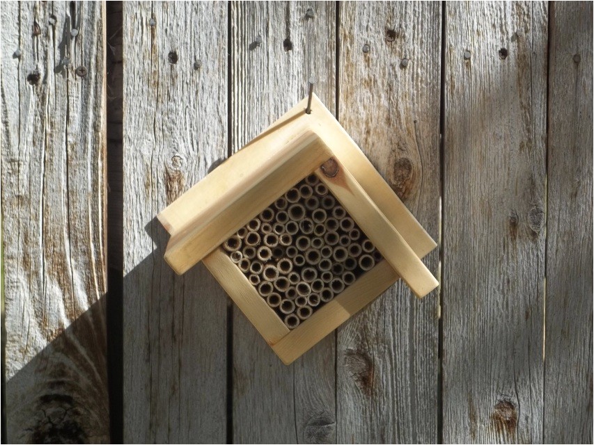 mason bee house plans