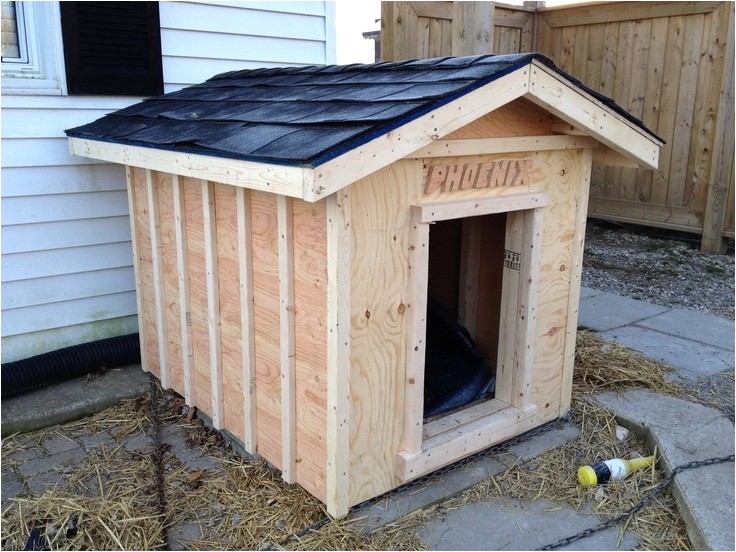 home depot dog house plans inspirational 51 best pallets dog houses images on pinterest