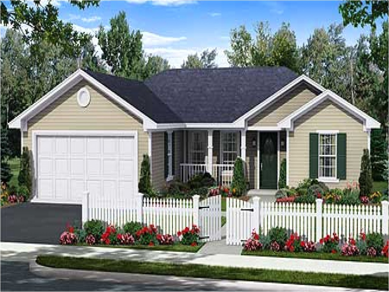 1 story house plans with pictures