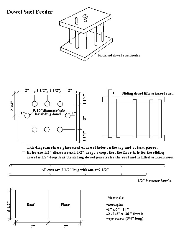 bird house plans hummingbirds