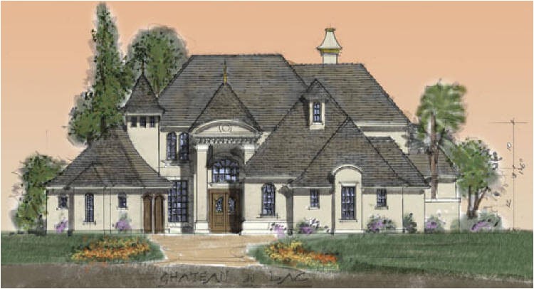 one level french country home plans