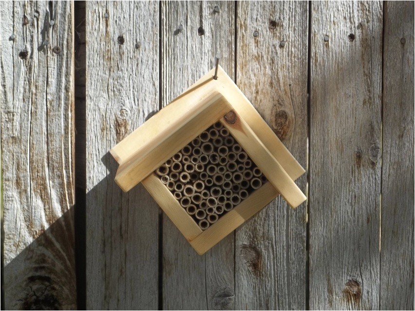 access orchard mason bee house plans