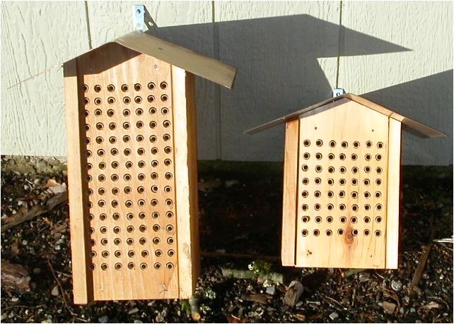 Plans for Building A Mason Bee House Mason Bee Nest Plans