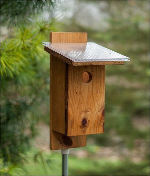 bird house plans for sparrows