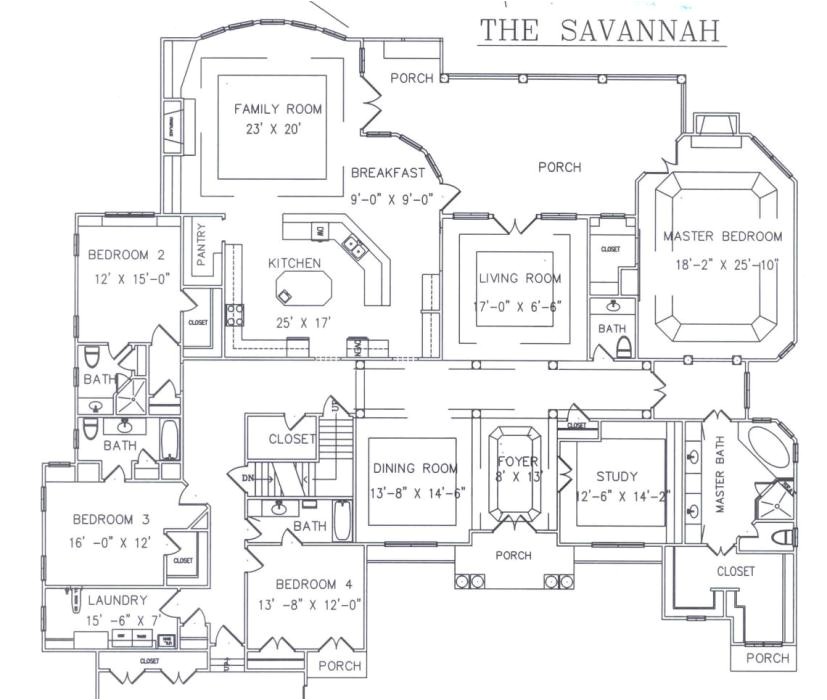 savannah