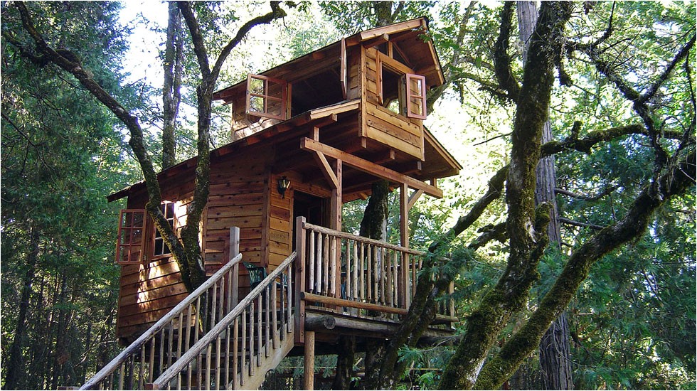50 kids treehouse designs