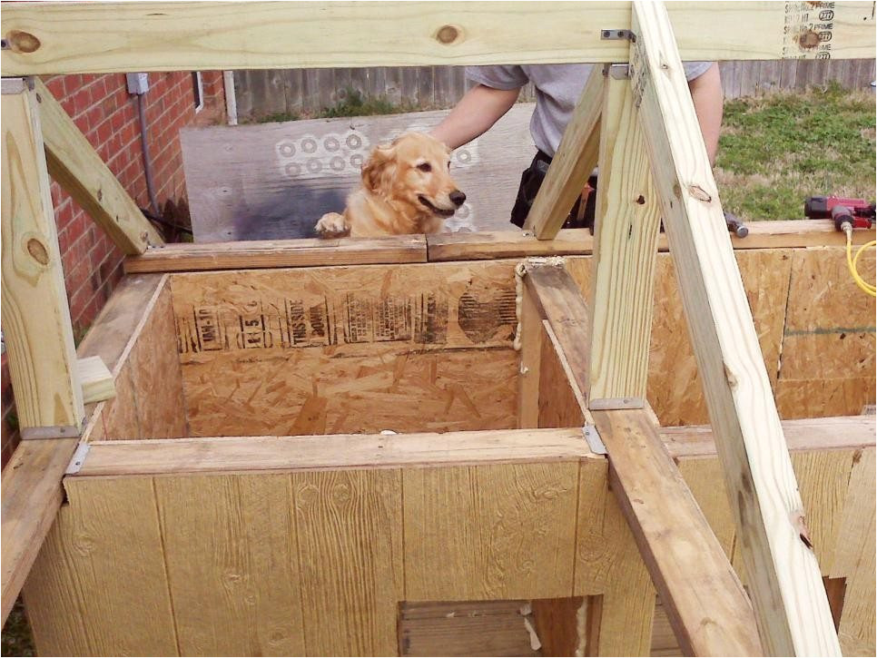 two room dog house plans fresh meet the winners of the best doggone doghouse contest