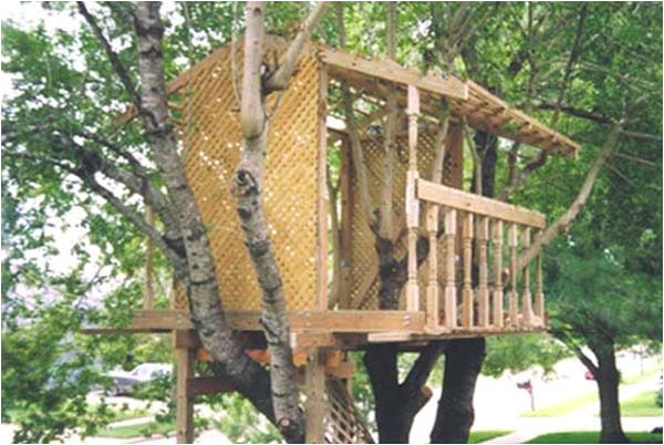 Adult Tree House Plans 30 Diy Tree House Plans Design Ideas for Adult and Kids