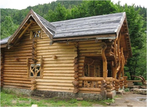 amazing log home wild design