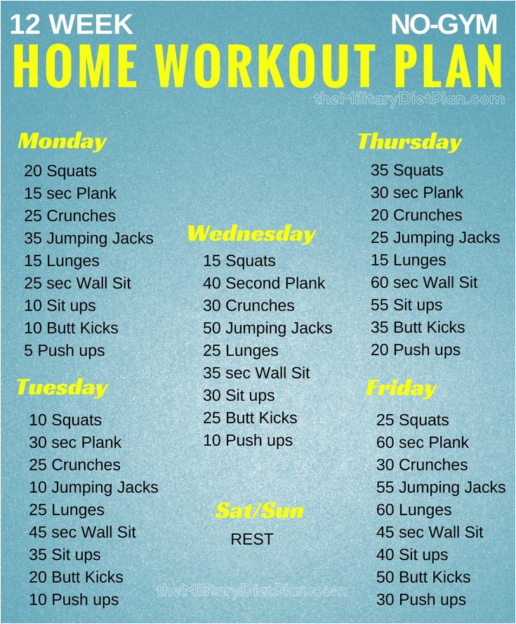 beginner workout plan at home