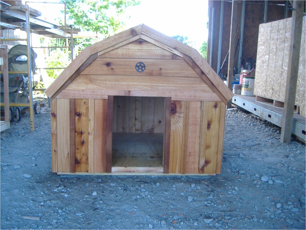 barn-dog-house-plans-free-barn-style-dog-house-plans-plougonver