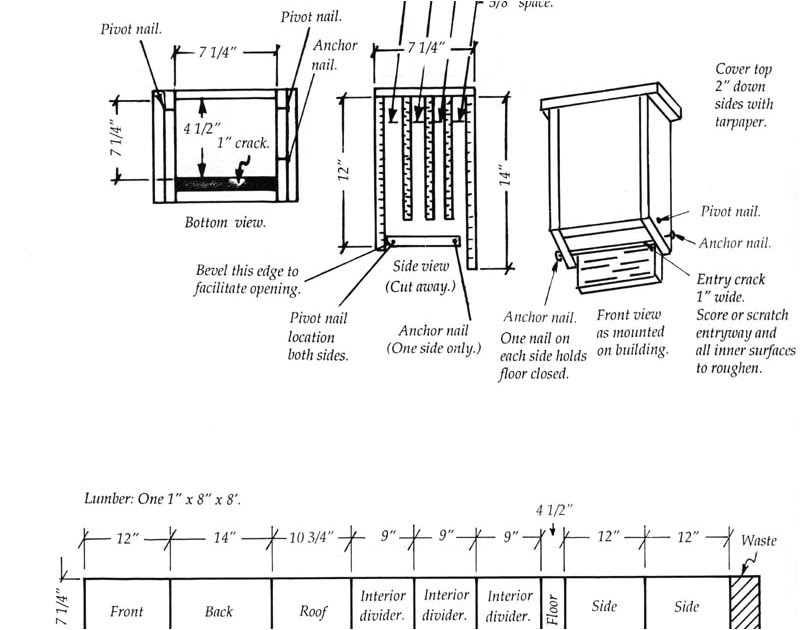 cool bat house plans mn