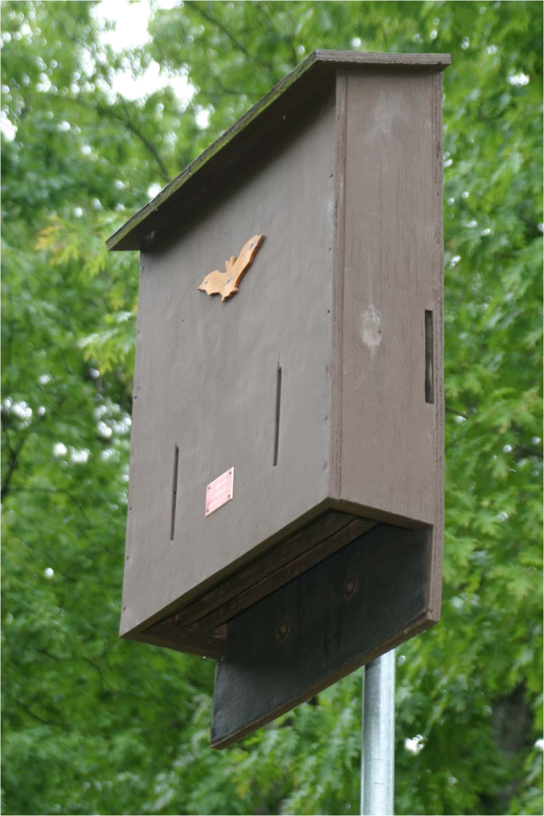 Bat House Plans Minnesota Plougonver