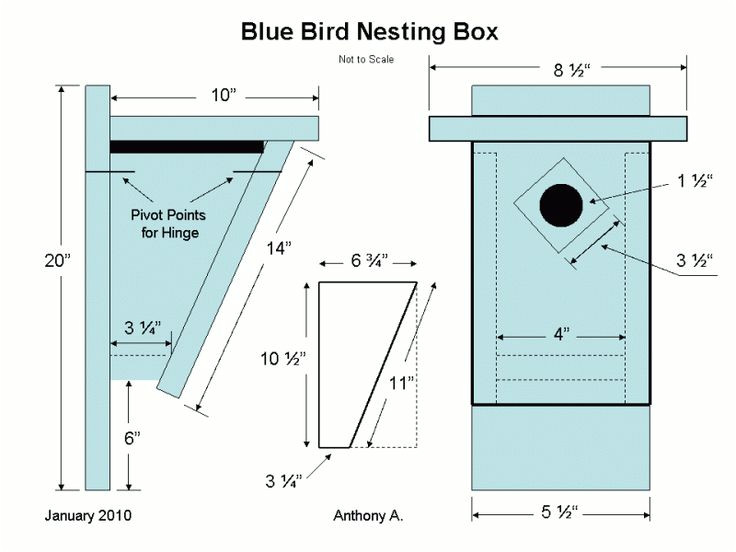 Bluebird House Plans Patterns | plougonver.com