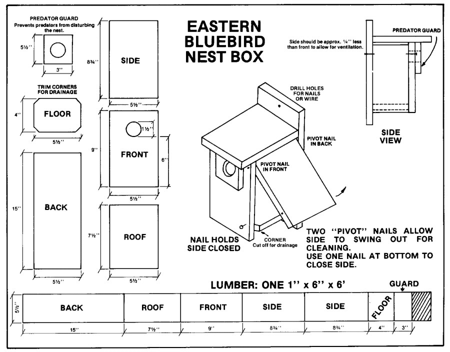 newcomb vic offers family bluebird nest box workshop
