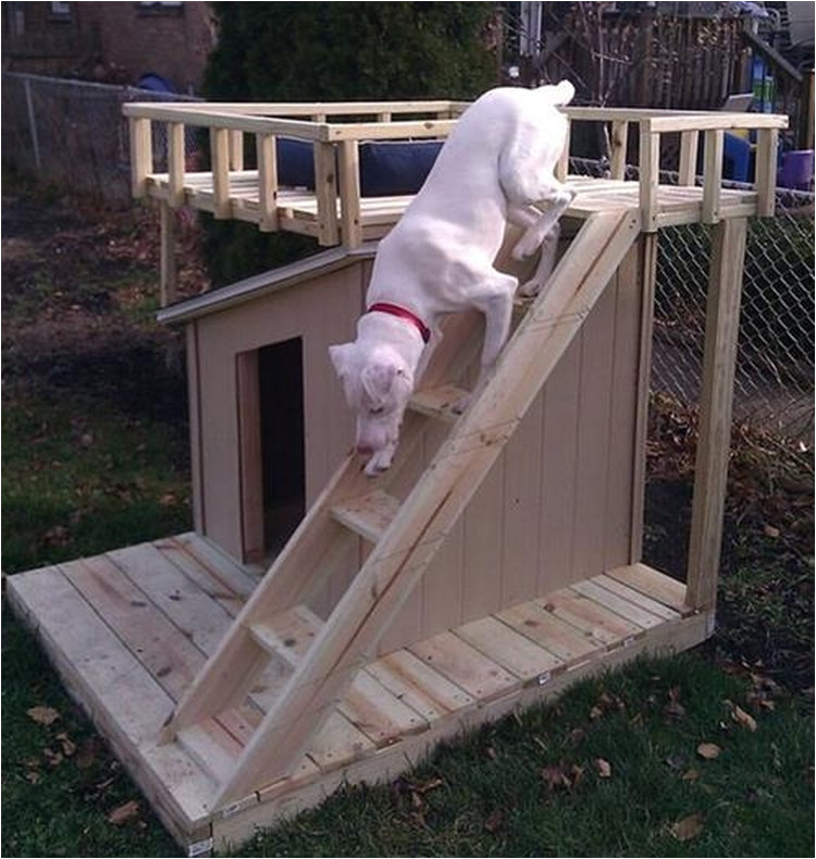 wooden pallet dog house plans
