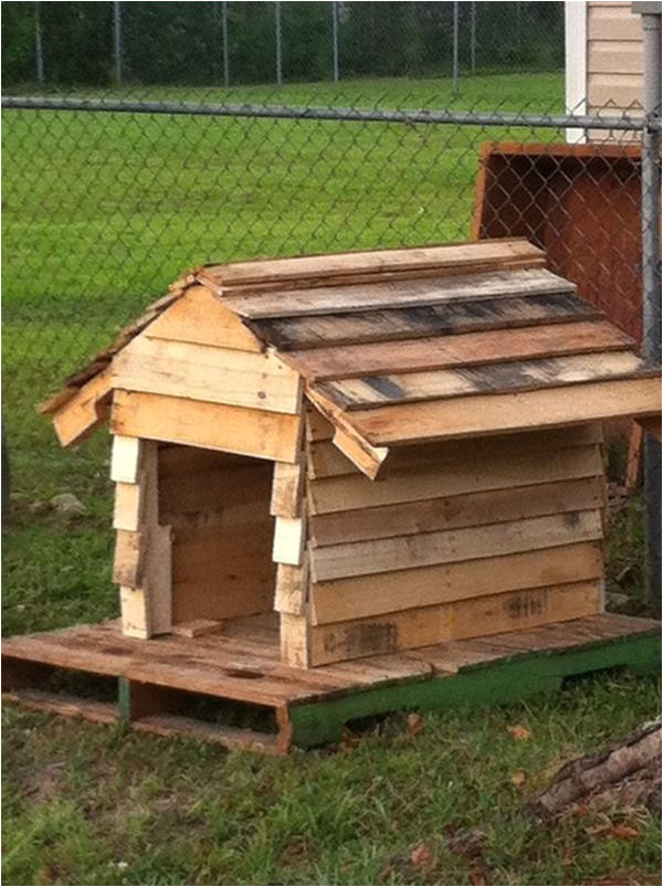 tips to build simple dog house out of some wooden pallets