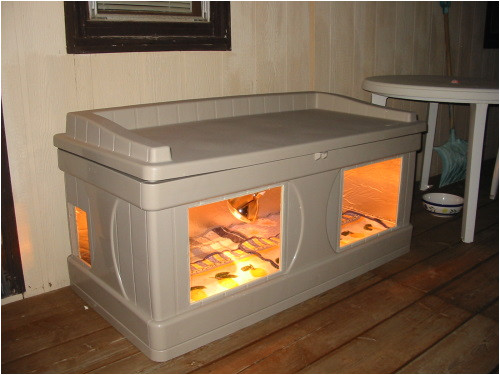 insulated cat house