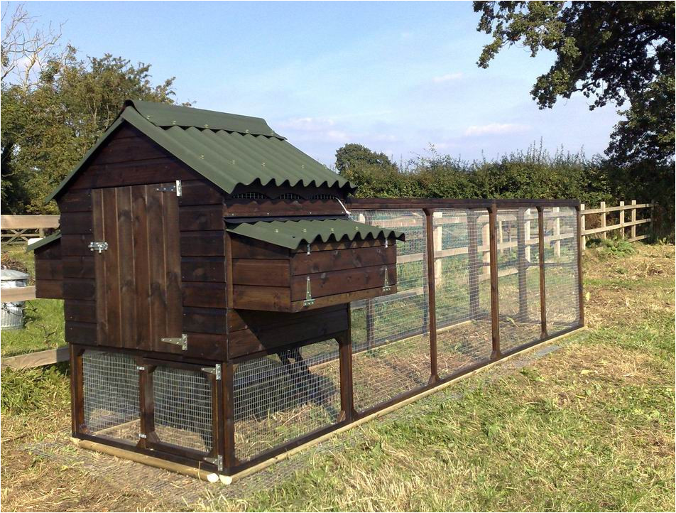 advantages of a large chicken coop