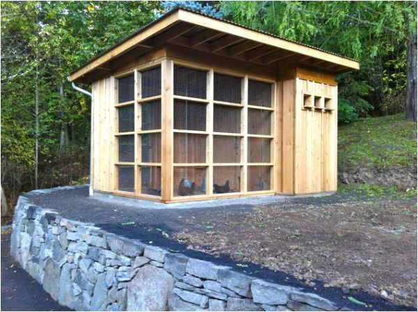 how to design a chicken house for your garden
