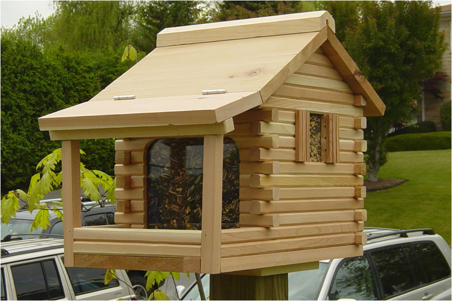Large Bird House Plans Large Bird House Plans Log Awesome House Tips to Build