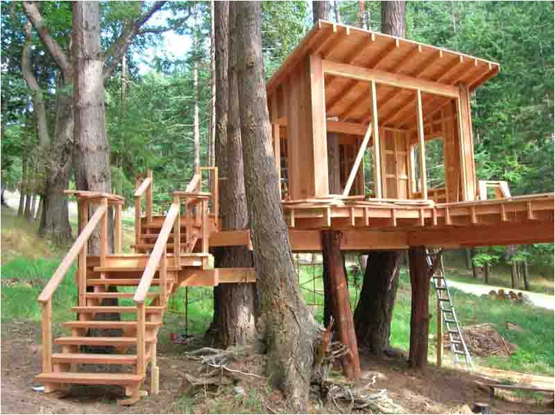 how to build a treehouse in the backyard