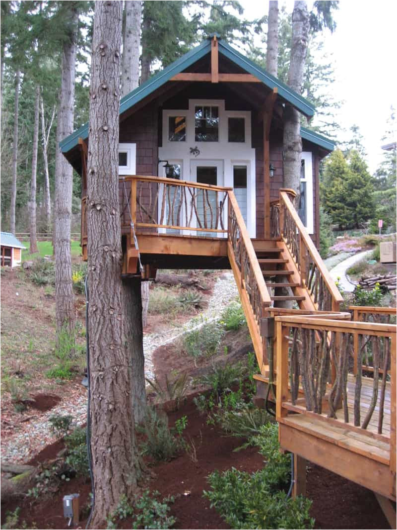 livable treehouse plans free