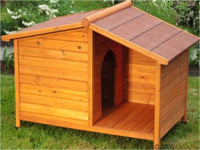 dog house design plans
