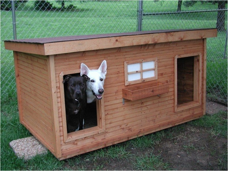 dog house plans for multiple dogs