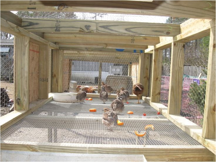 quail-housing-plans-plougonver