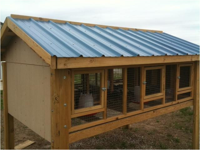 quail bird house plans
