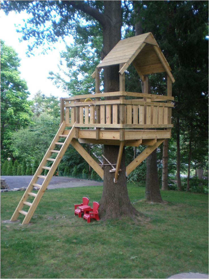 Tree House Swing Set Plans 21 Best Images About Tree House Fun On Pinterest A Tree