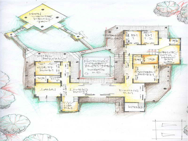 unusual house plans