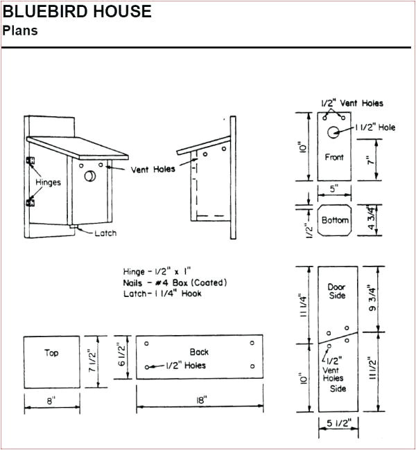 Western Bluebird House Plans plougonver com