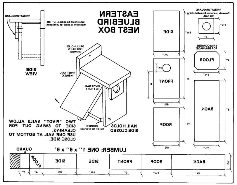 simple bluebird house plans