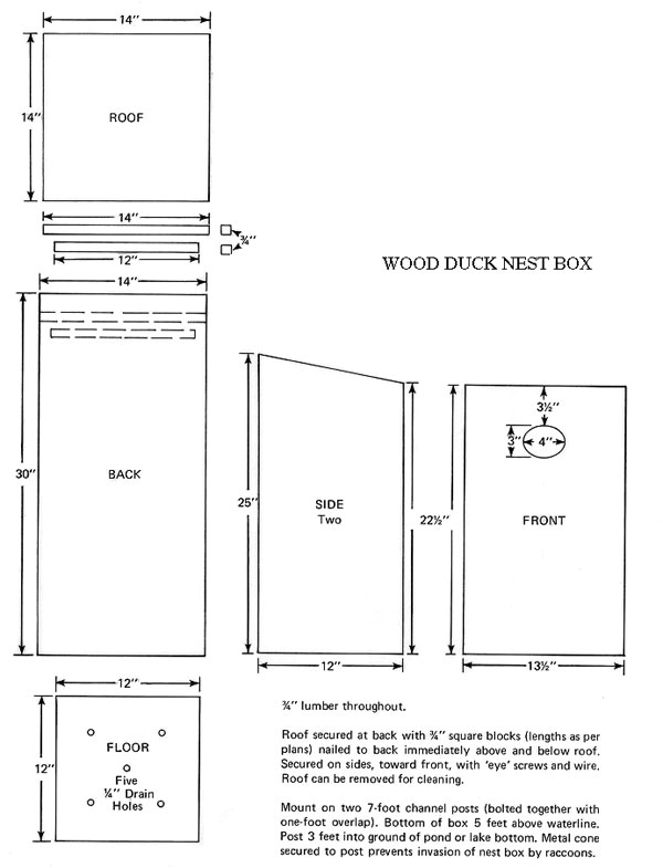wood duck birdhouse plans