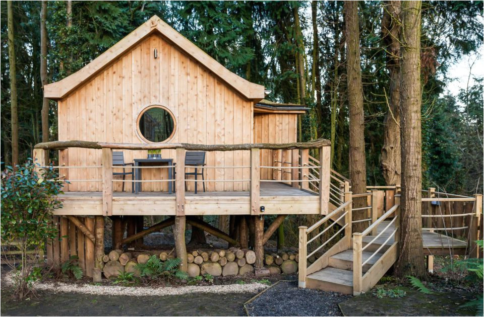 a tiny woodland cottage