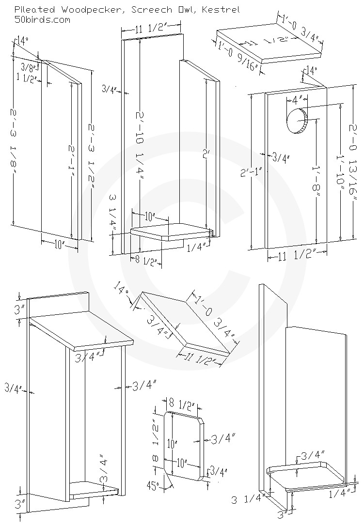 Woodpecker House Plans