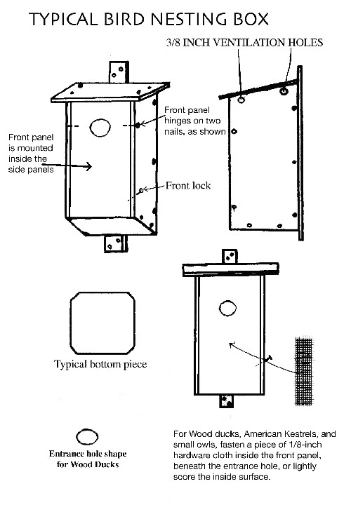 woodpecker house plans