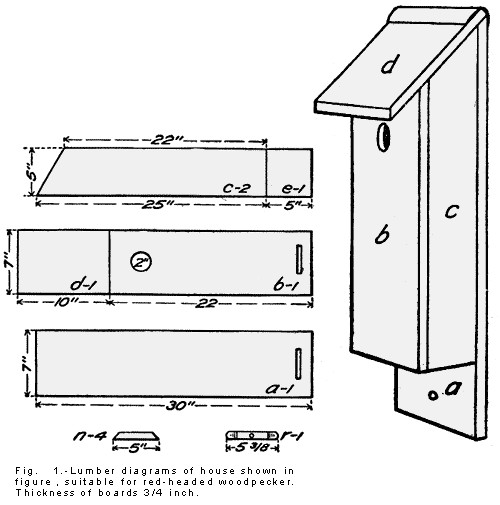 woodpecker nuthatches chickadees and titmice bird house plan