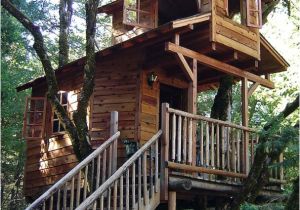 Adult Tree House Plans Amazing Cool Tree House Ideas Home Design