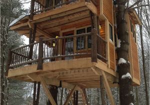 Adult Tree House Plans the 25 Coolest Adult Treehouses On the Planet Suburban Men